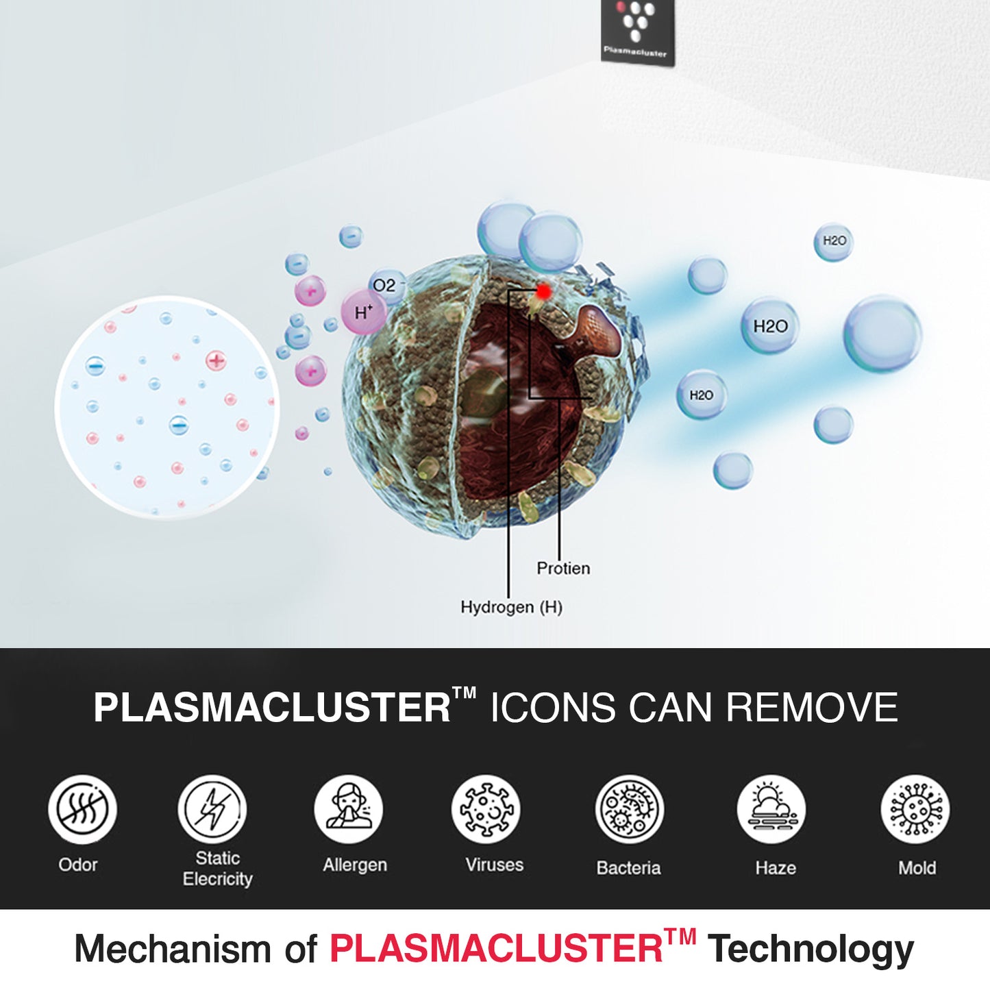 SHARP PureFit Air Purifier with Plasmacluster | Removes 99.97% Pollutants - Bacteria, Virus, Mold, VOCs | 4-Stage Filters | Japan Technology | 330 sq.f | FP‑S42M‑L