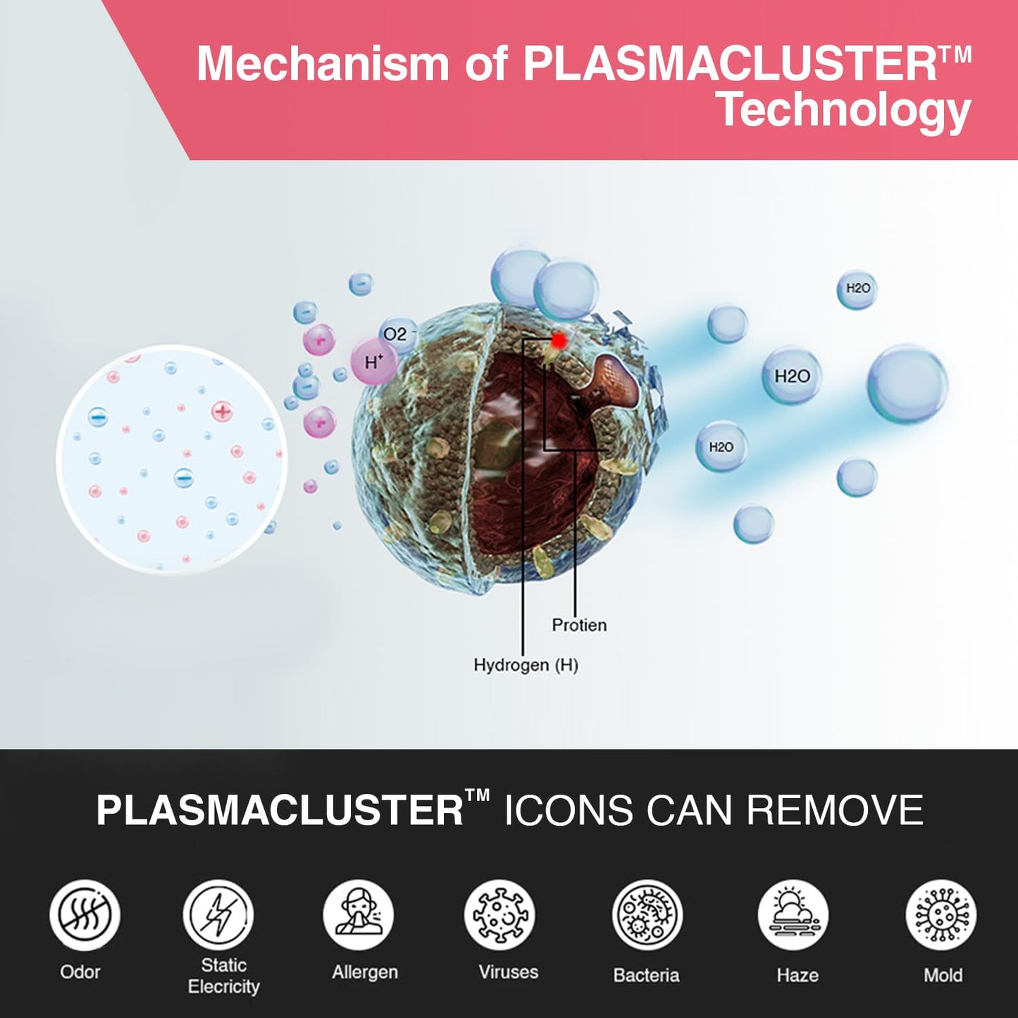 SHARP PureFit Air Purifier with Plasmacluster | Removes 99.97% Pollutants - Bacteria, Virus, Mold, VOCs | 4-Stage Filters | Japan Technology | 930 sq.ft. | FX-S120M-H