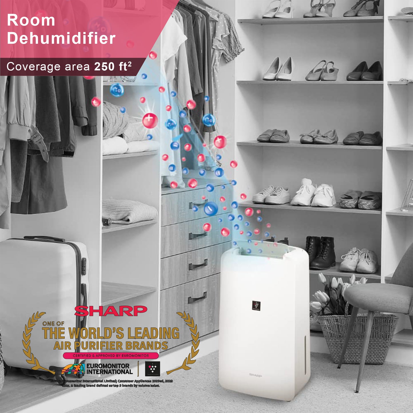 SHARP Compact Dehumidifier for Home & Office with Plasmacluster | Removes Bacteria, Virus, Mold, VOCs | Japan Technology | 250 ft² | DW-P10M-W